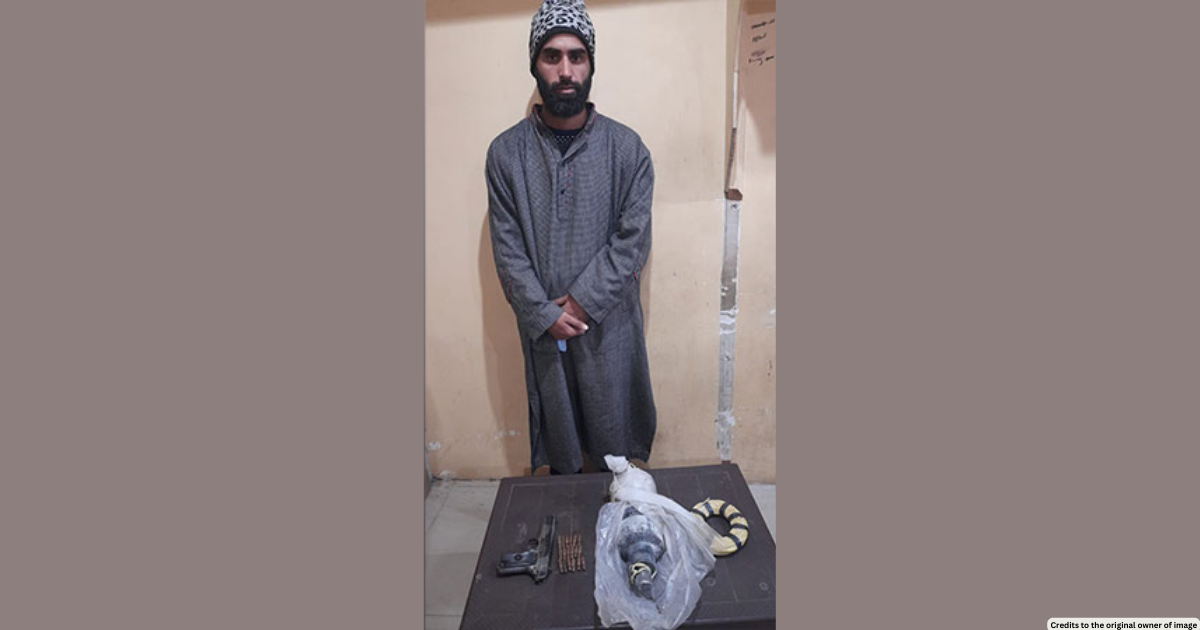 Lashkar associate arrested in J-K village; arms recovered